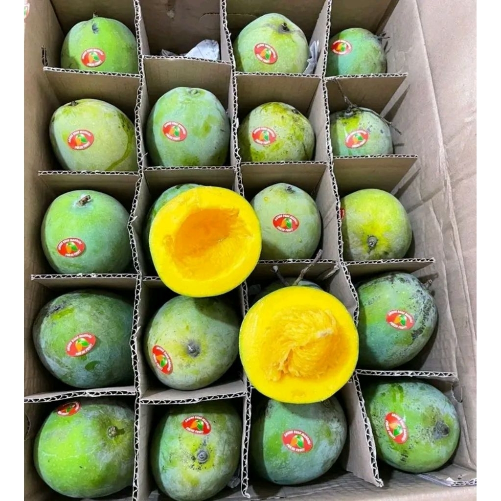 

mangga alpukat fresh 1kg