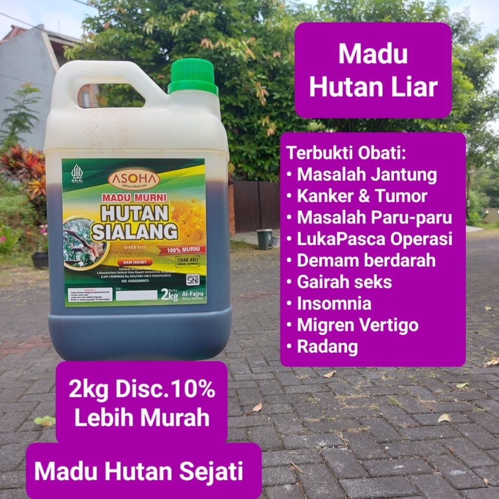 

ASOHA Madu Hutan Liar SIALANG 2kg | Madu Hutan Asli Murni | Raw Honey | Kualitas SNI