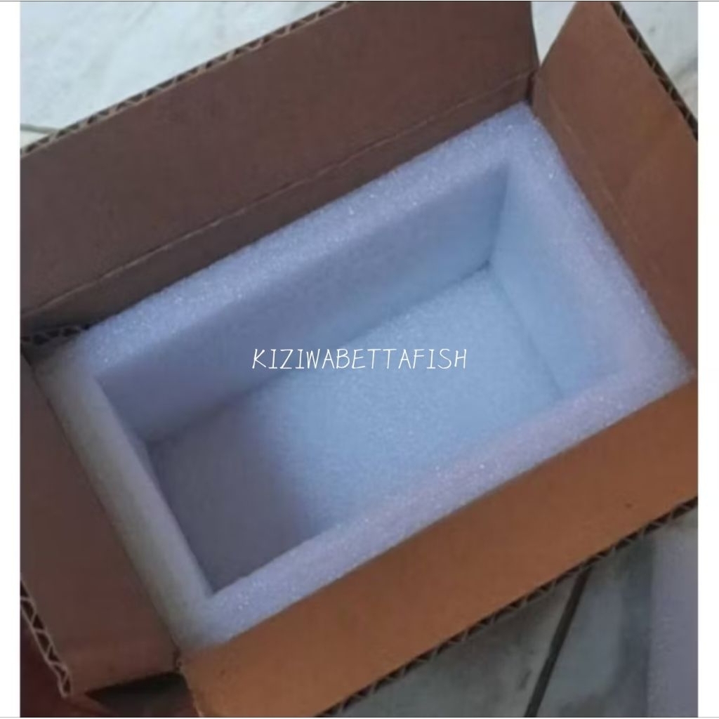 

BOX PACKING STEROFOAM DAN DUS