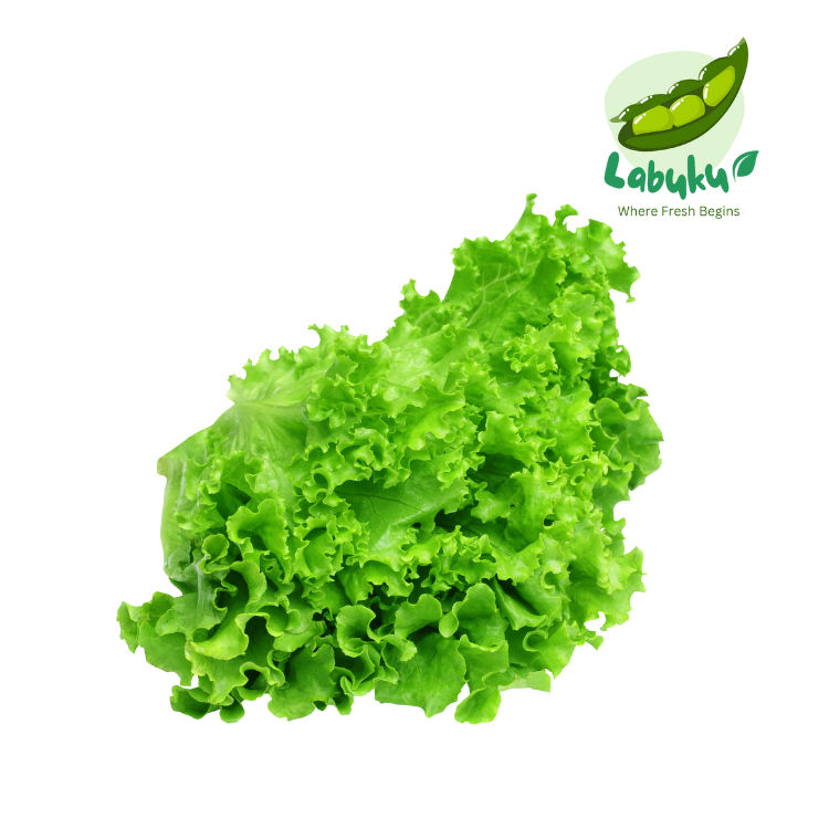 

Labuku – Selada Premium Lokal