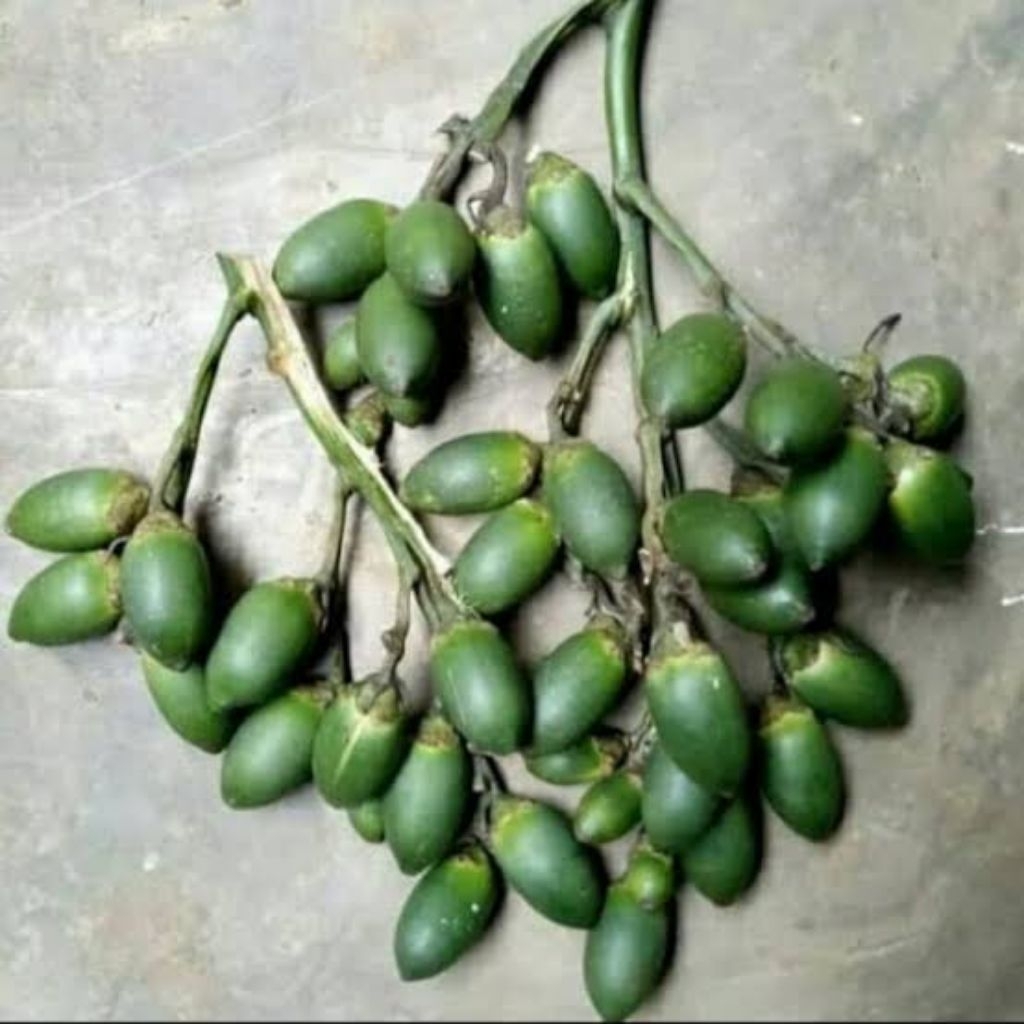 

promo buah pinang muda segar 500geram