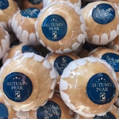 

Buah pear autumn pohon super premium segar 1 kg