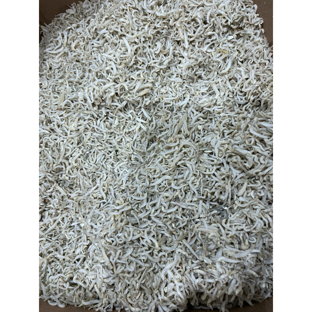 

Teri Toge(asli dari Medan)