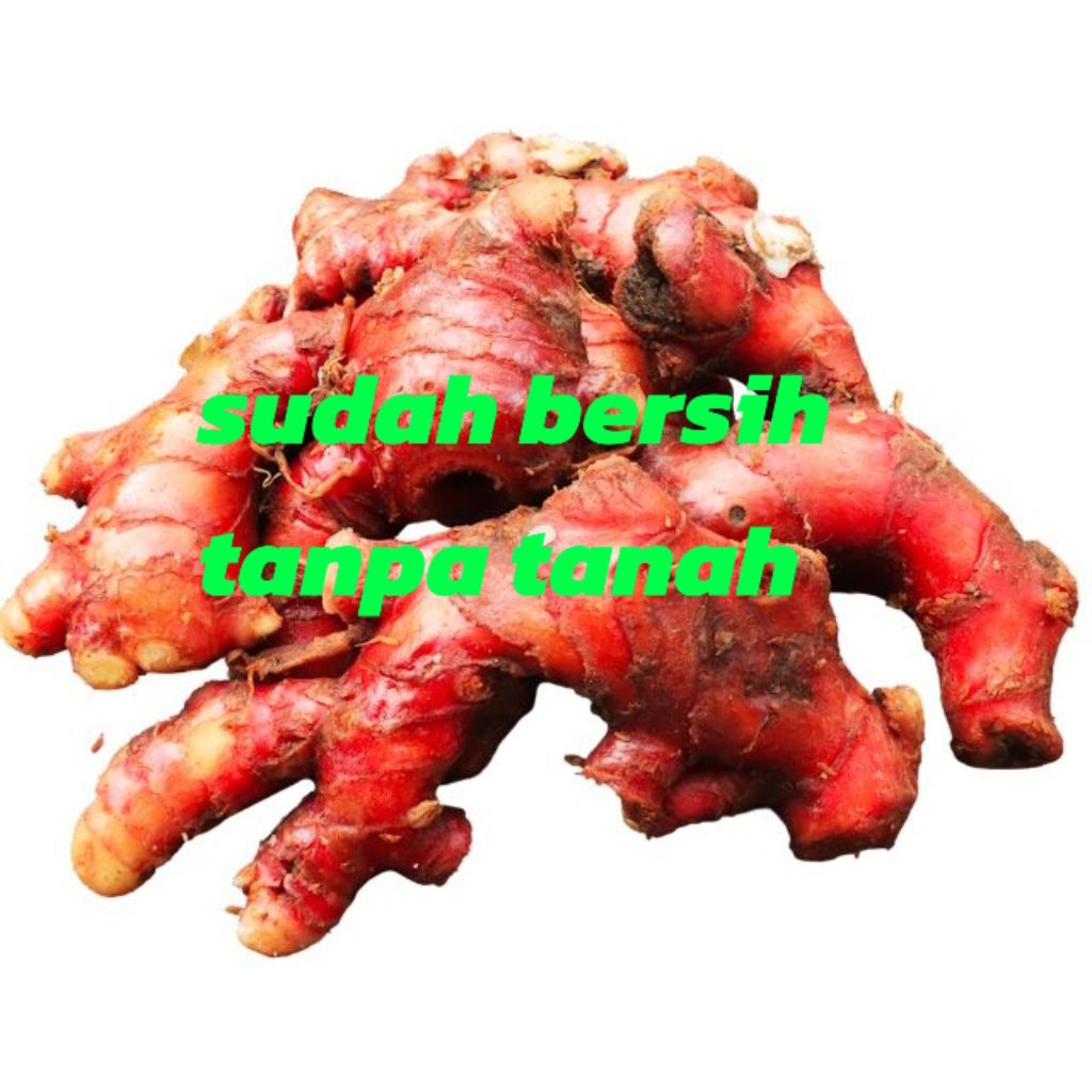 

Jahe merah super/250 - 500 gram,1kg