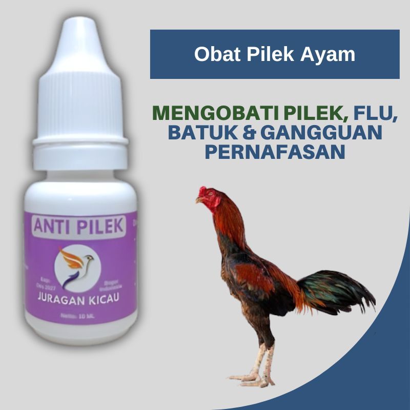 Obat Pilek Ayam Terkena Flu Batuk Gangguan Pernafasan Dan Tenggorokan