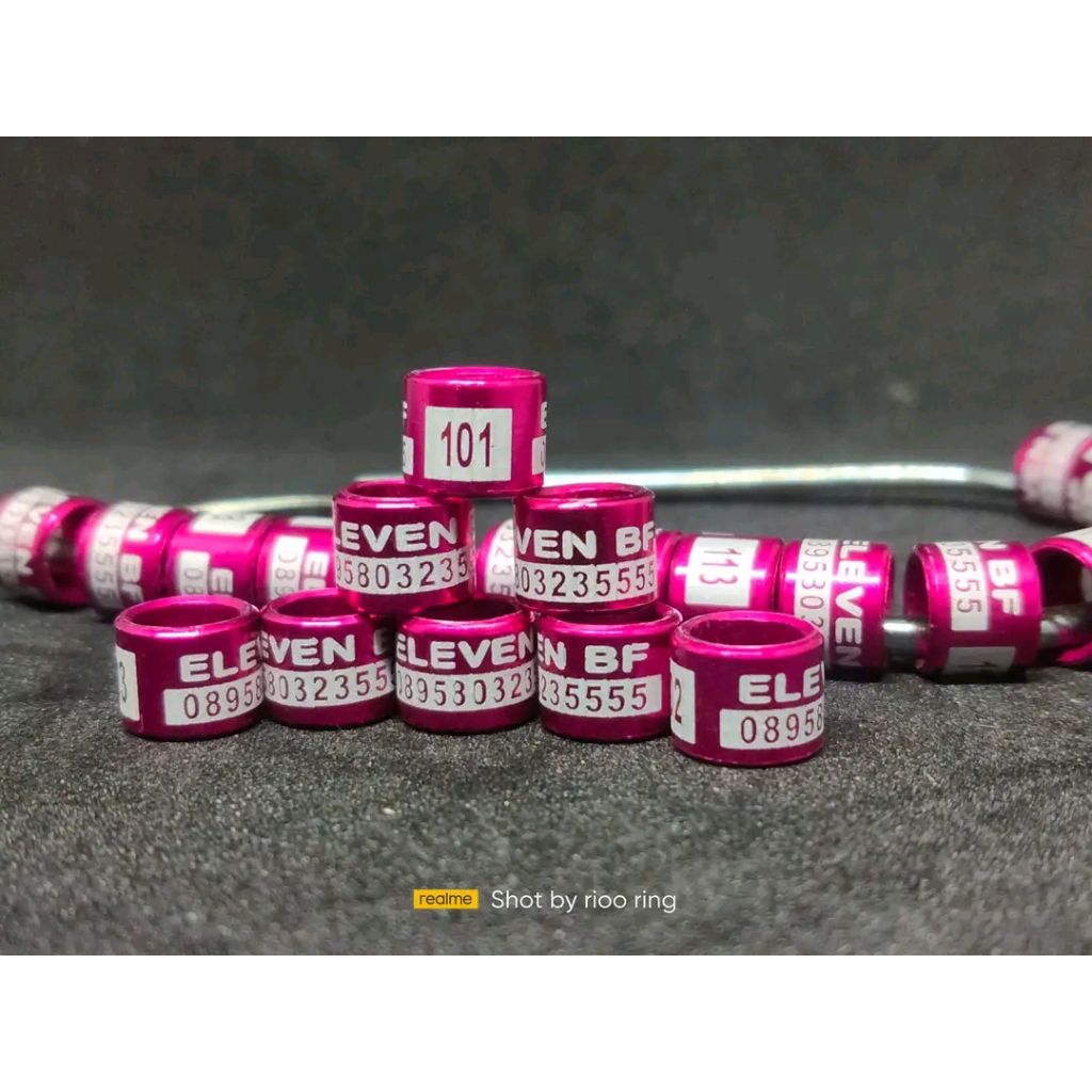 RING BURUNG CUSTOM KENARI MURAI MERPATI PERKUTUT LB DLL MODEL LASER FARIASI