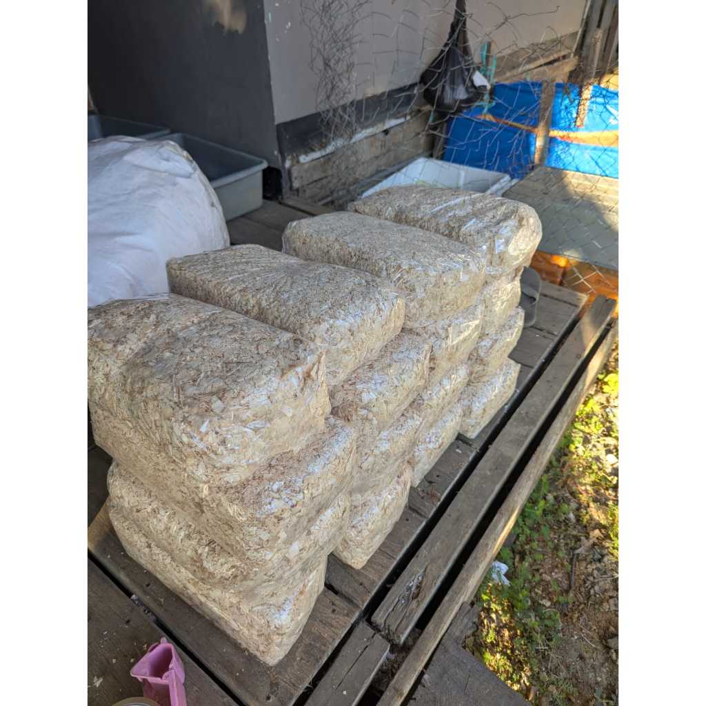 SERBUK KAYU PINUS untuk hamster