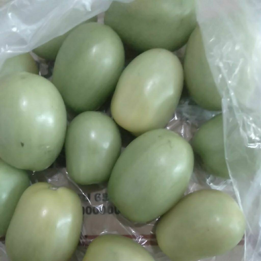 

Buah Tomat Hijau Tomato ijo segar kg