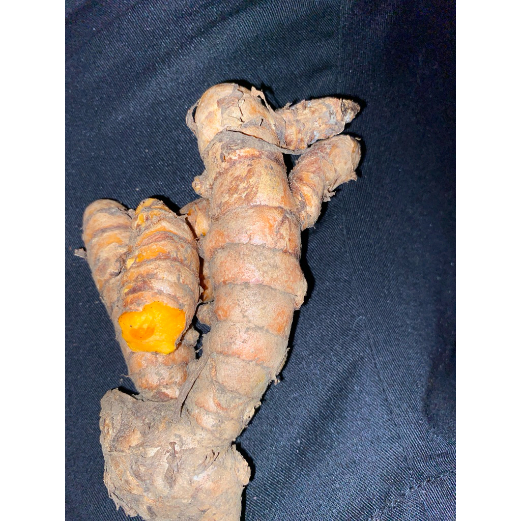 

KUNYIT SEGAR berat 250gr/500gr