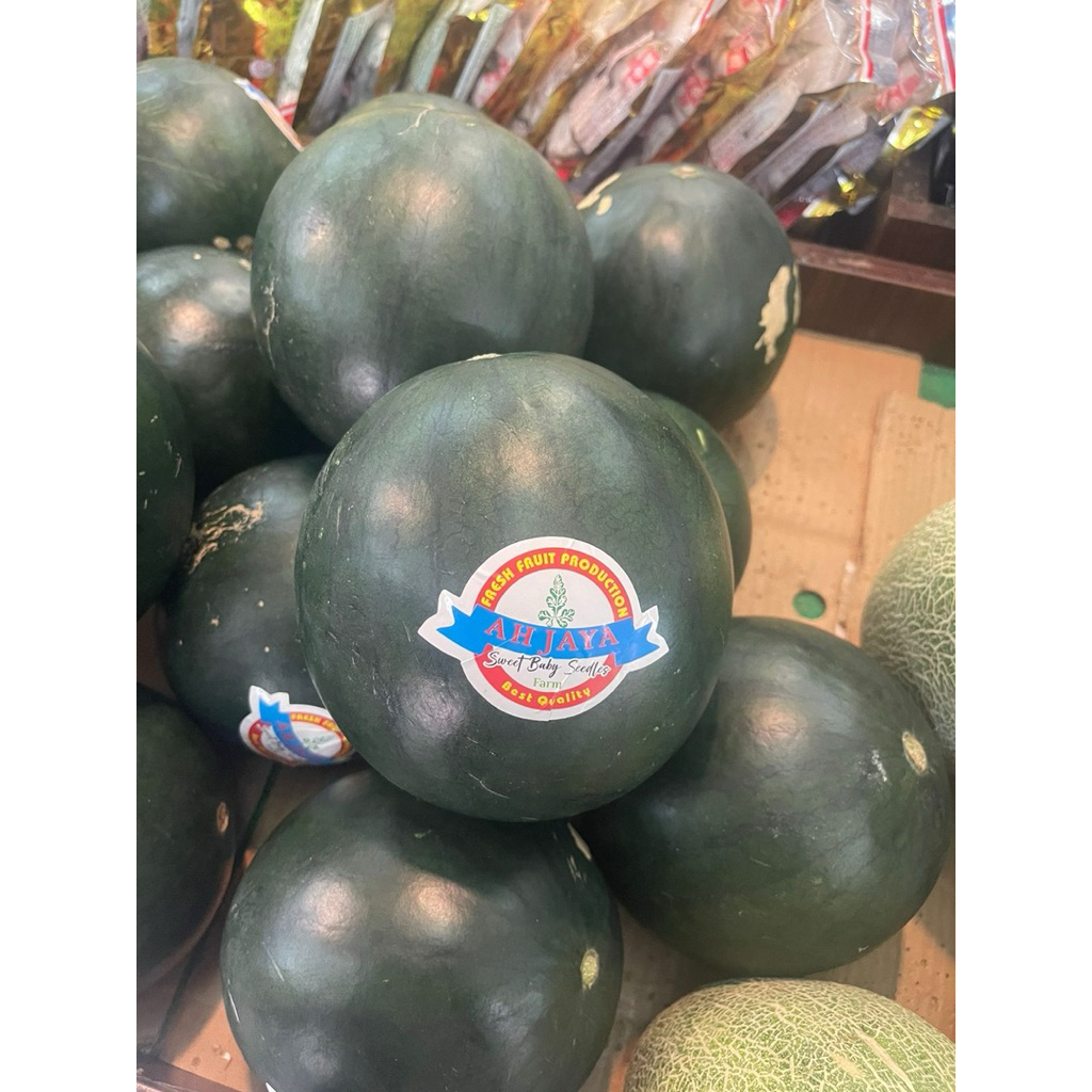 

Semangka Sweet Baby Seedles