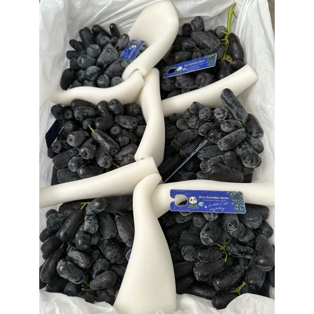 

Anggur Sweet Sapphire 1 Dus (5 KG) Fresh Import