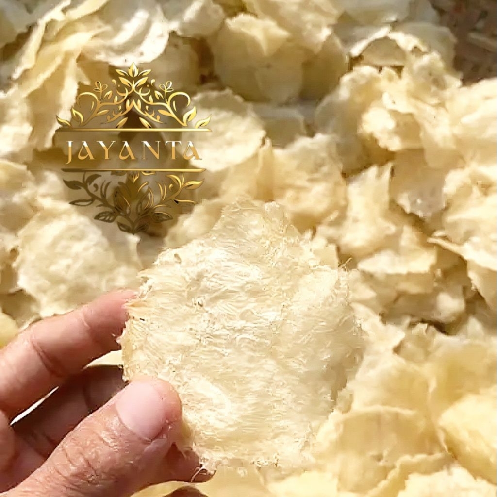 

Emping Garut Mentah/Umbi mentah murah