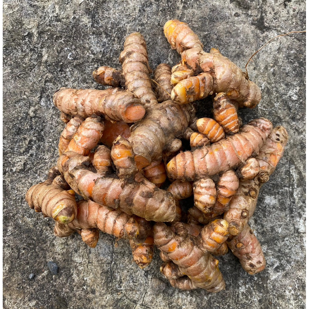 

KUNYIT/KUNIR FRESH/BERSIH 1KG