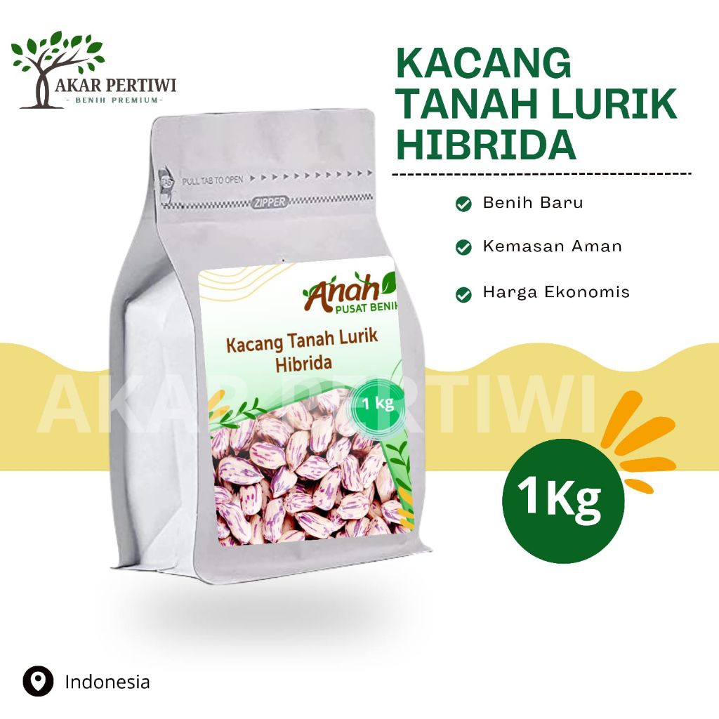 

Akar Pertiwi - Benih Biji Bibit Kacang Tanah Lurik 1kg - Kacang Tanah Batik Kacang Tanah Unggul