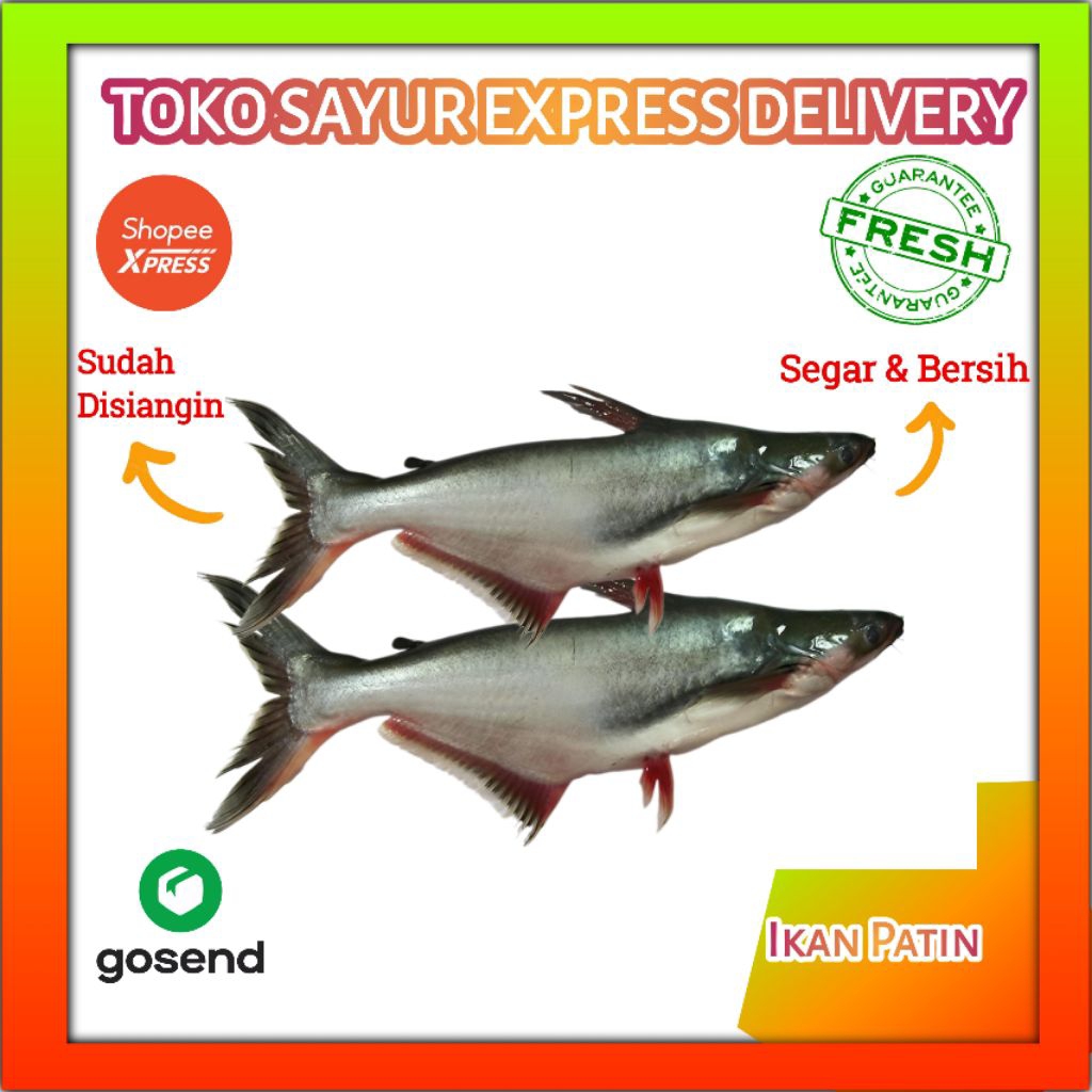 

Ikan Patin Fresh - Sayur Segar Palembang