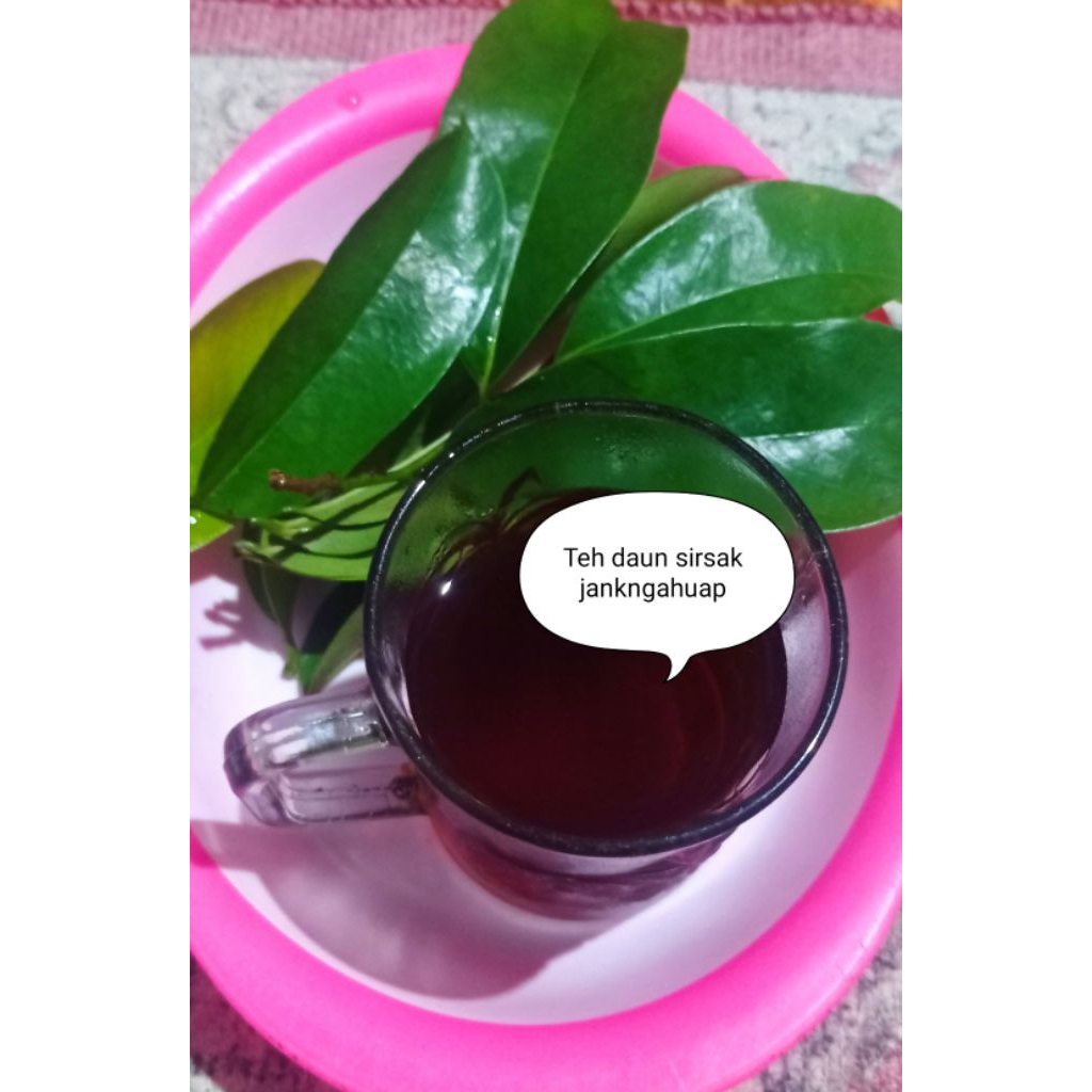 

100gr Daun sirsak segar organik