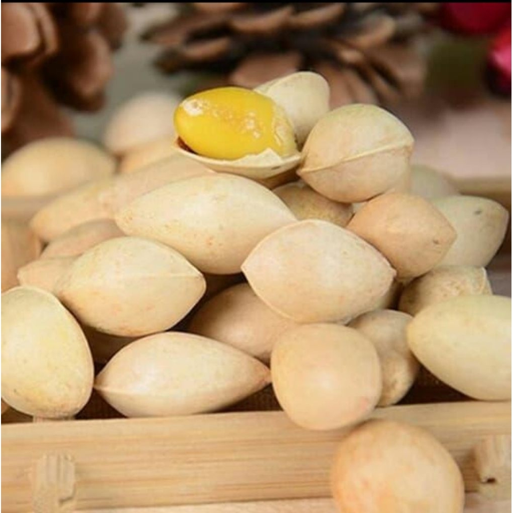 

Ginko Biloba / Pekko / Kacang Pekkoi / Ginko nut /Bai guo