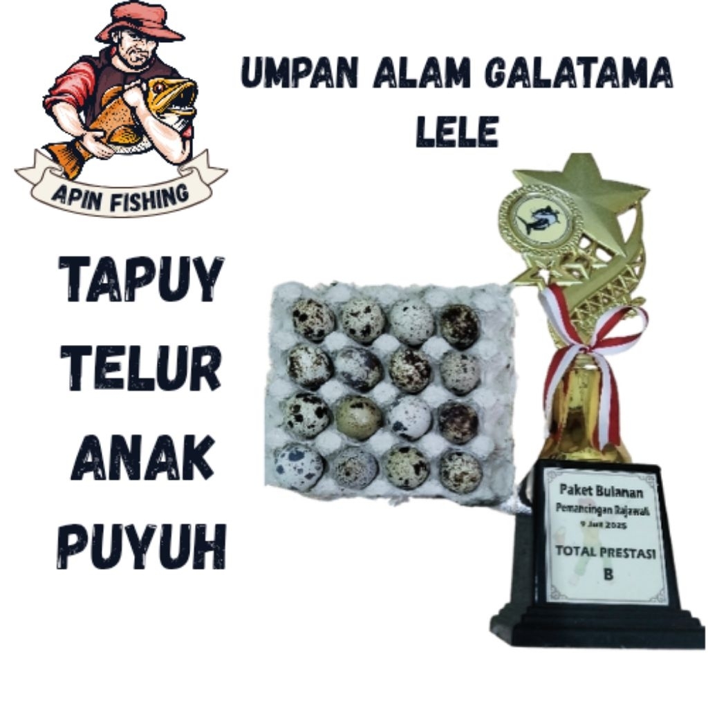 UMPAN MANCING UMPAN ALAM GT LELE TAPUY usia 8/9 hari (telur embrio anak puyuh)