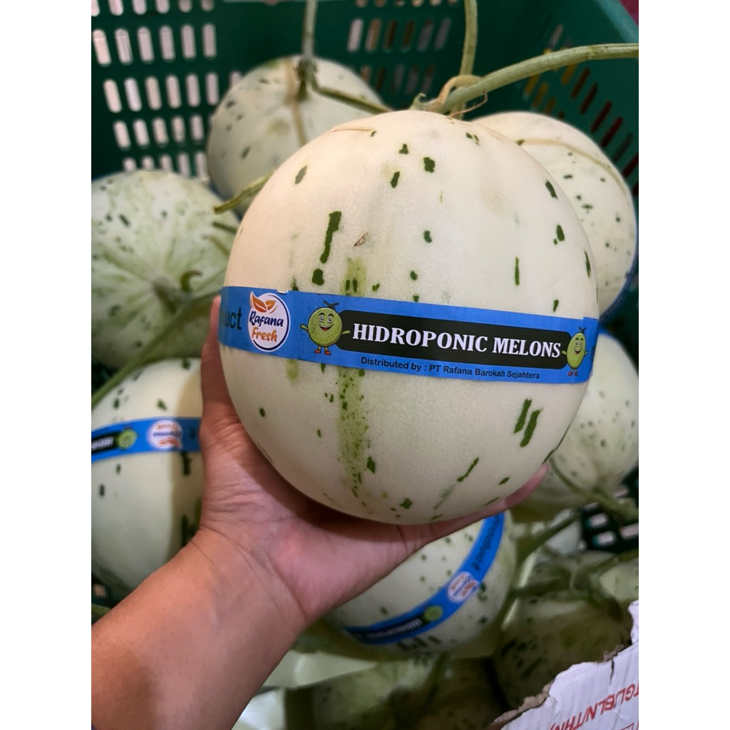 

Melon Dalmation