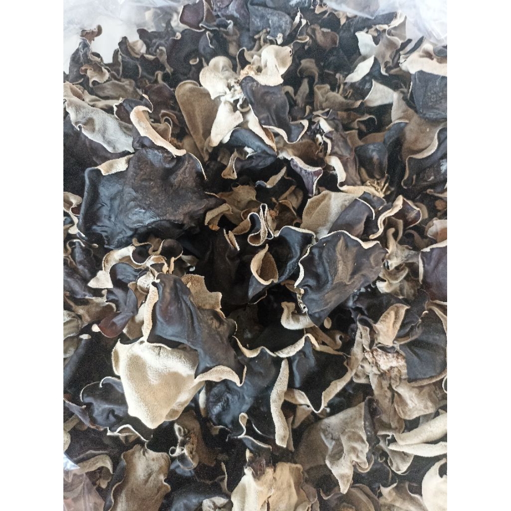 

jamur kuping kering 500 gr/250 gr