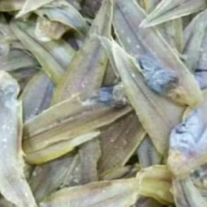 

Ikan Asin Lidah Khas Medan 500gr-1kg