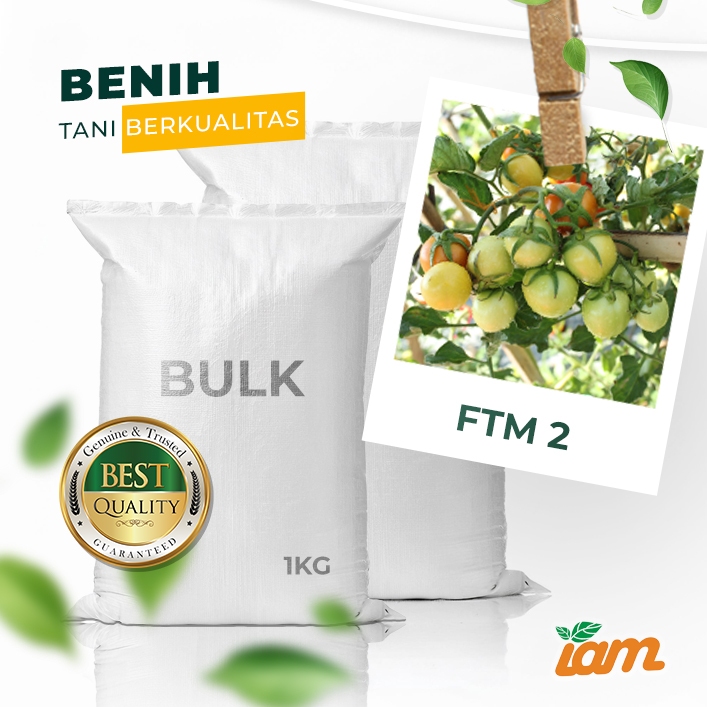 

BULK 1kg – tomat l F1 (FTM 2)