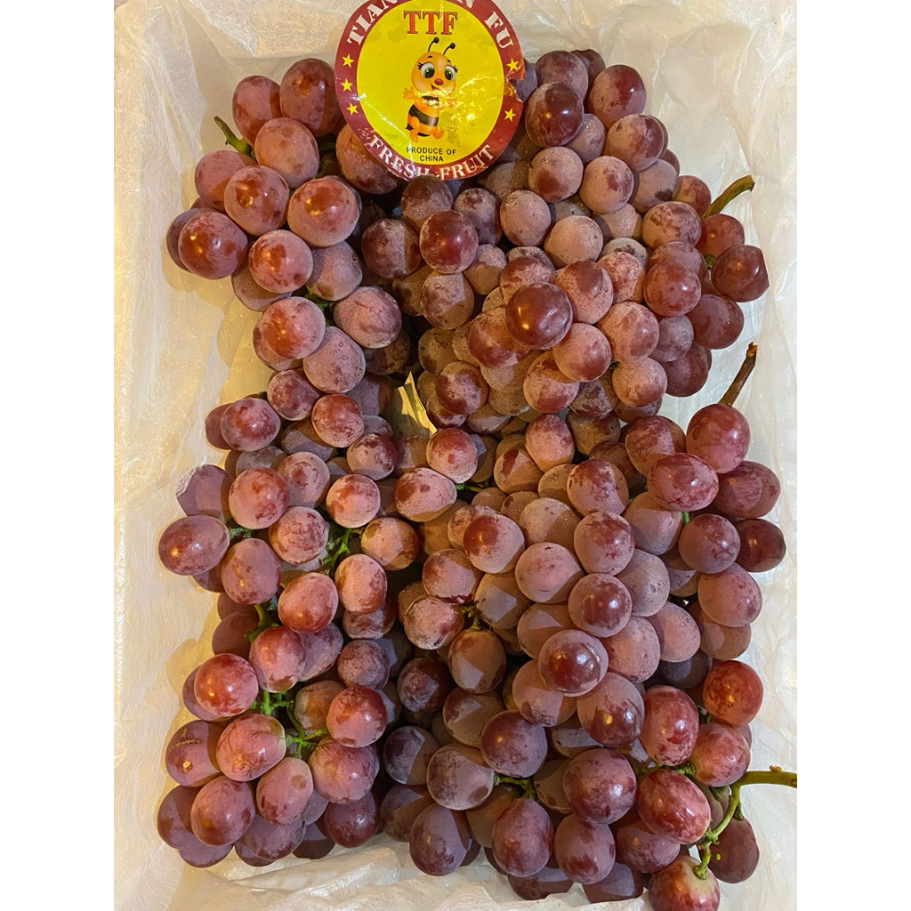 

Anggur merah RED GLOBE 500gr