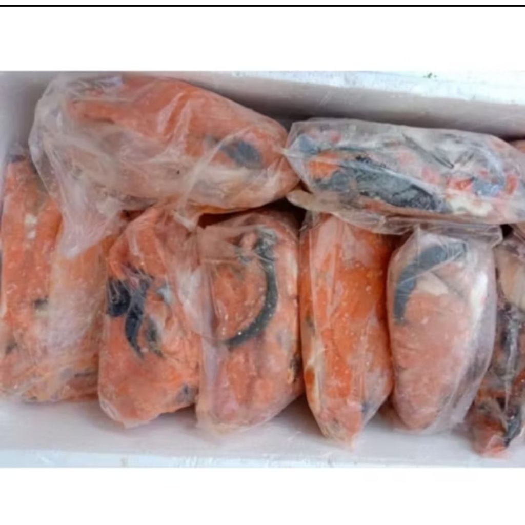 

Tetelan salmon Murah 500 gram