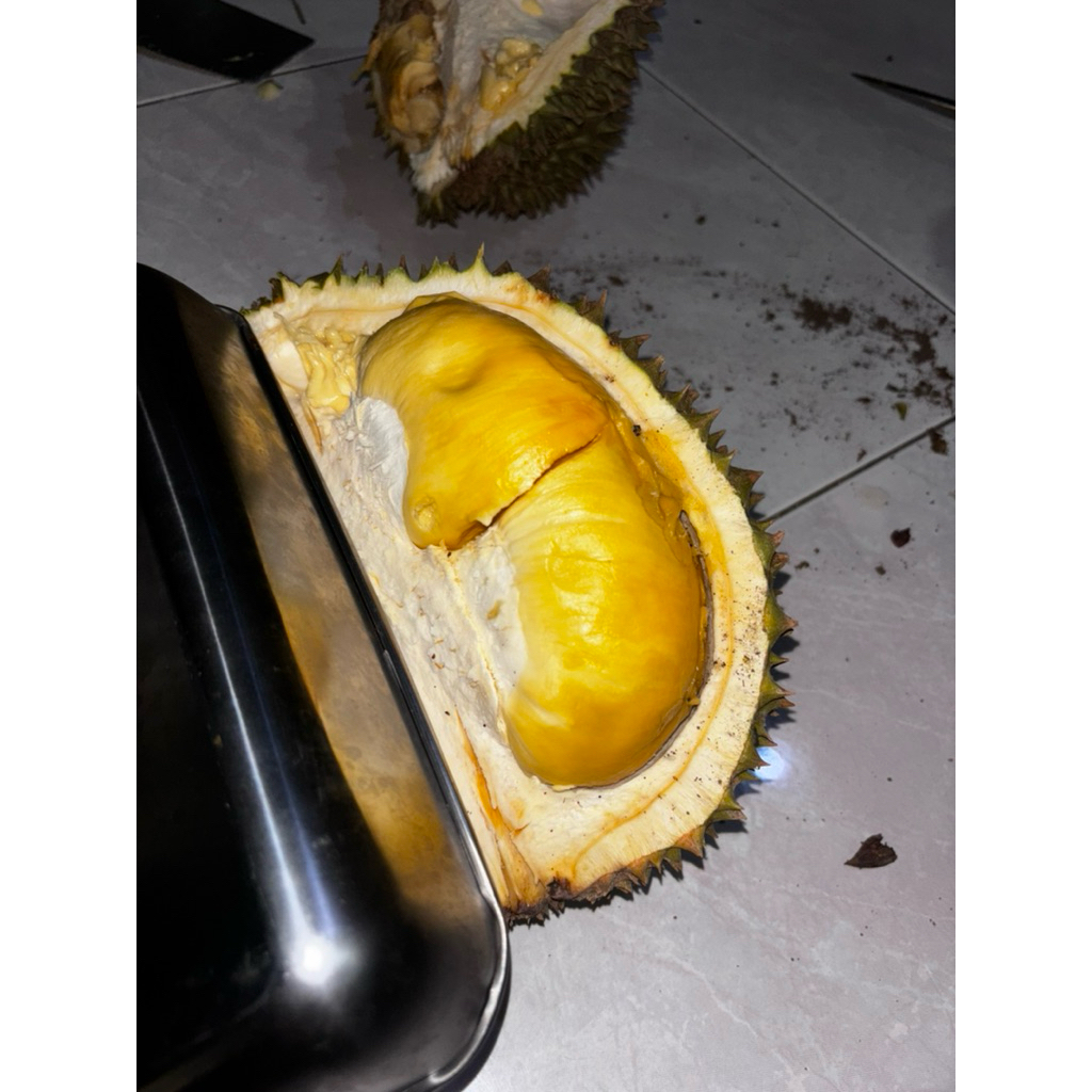 

Ready Medan! Durian Musangking Durian Sultan