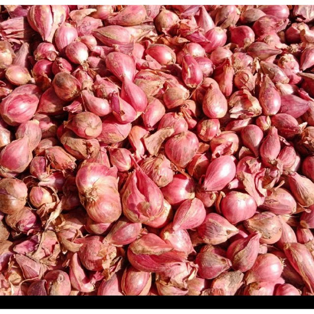 

Bawang merah Brebes fresh 500g - 1 kg