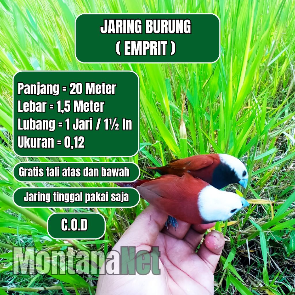 JARING EMPRIT JARING PIPIT JARING BURUNG SOTONG JARING WARNA HITAM SIAP PAKAI