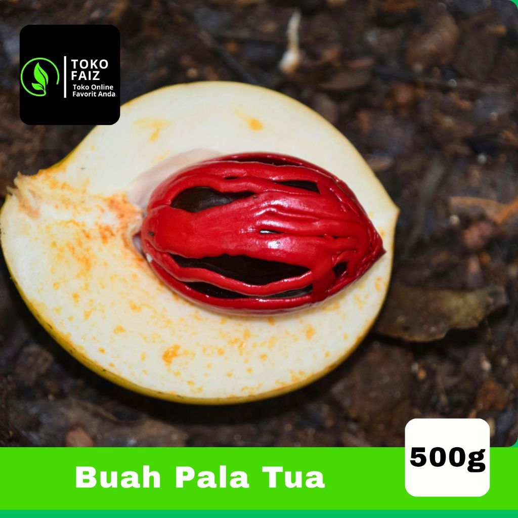 

Buah Pala/Biji Pala 500g