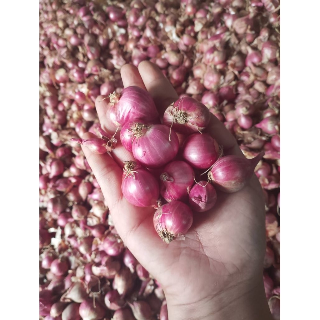 

Bamer asli nganjuk 500 gram