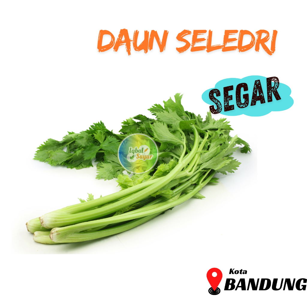 

Daun Seledri Segar Bandung