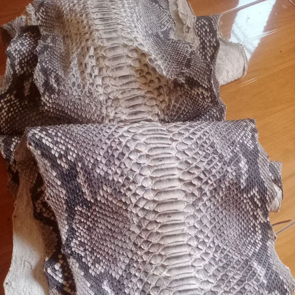 kulit ular python asli lembaran