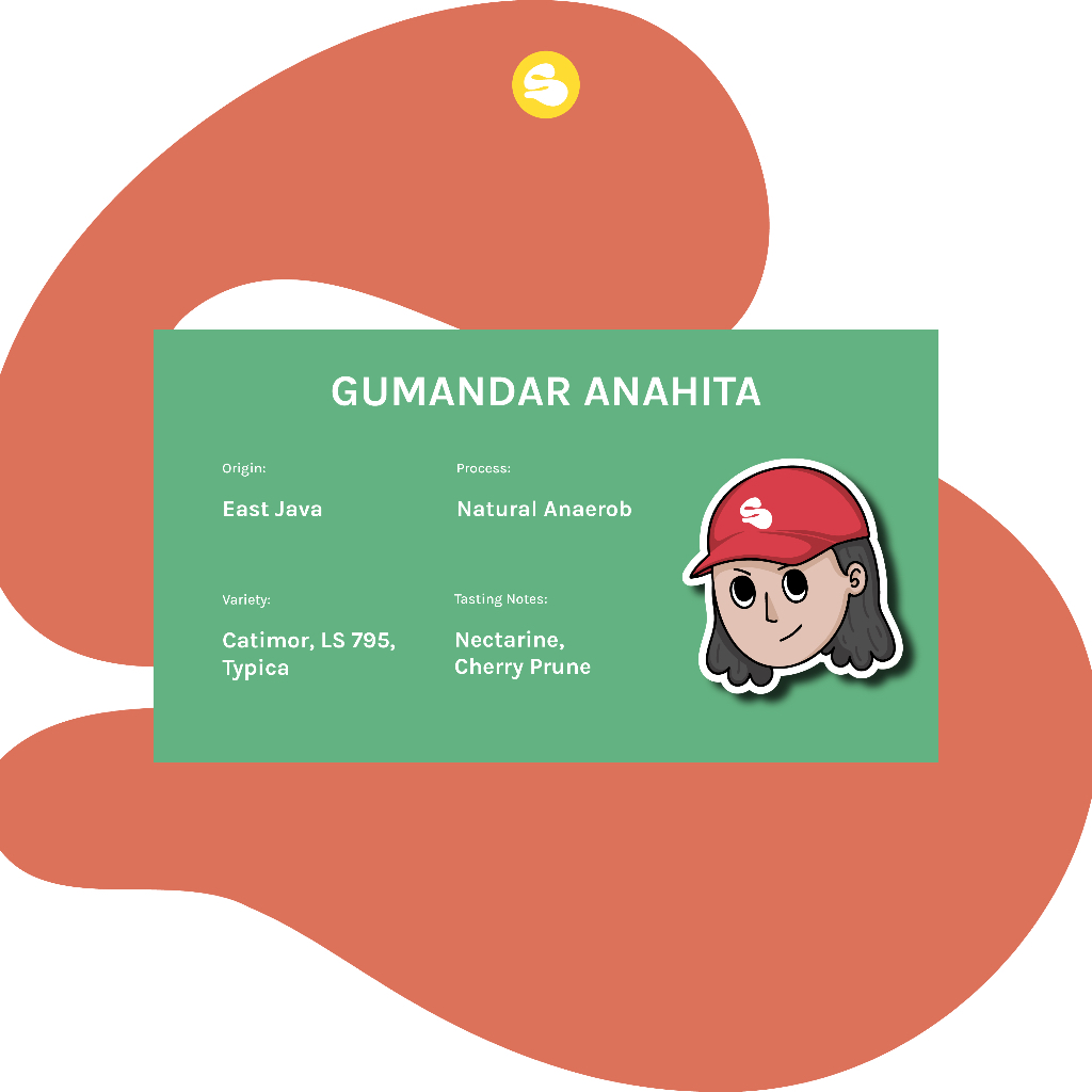 

Biji Kopi Arabika Gumandar Anahita