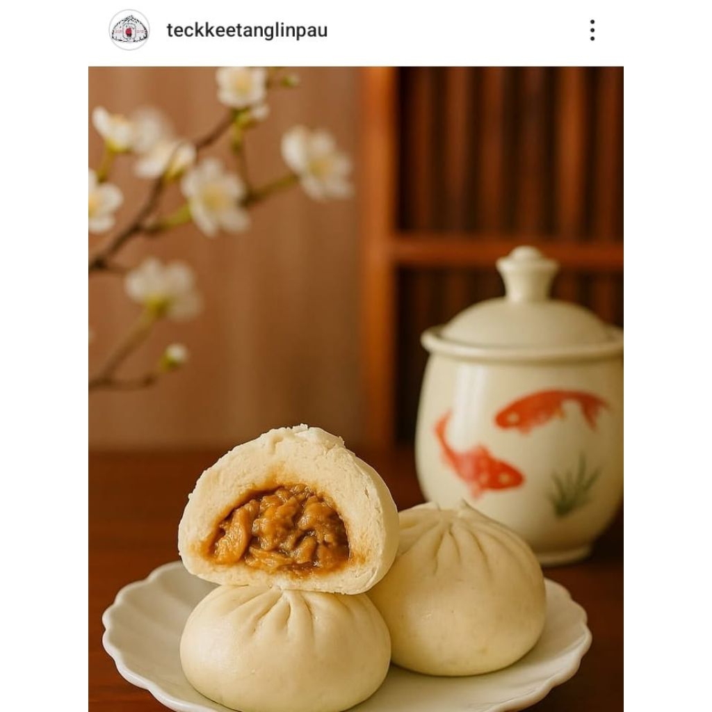 

BAKPAU TECK KEE TANG LIN PAU BAKPAO TECK KEE TANG LIN PAU BAPAO TECK KEE TANG LIN PAU HOMEMADE BAKPAU DAGING BAKPAU KACANG