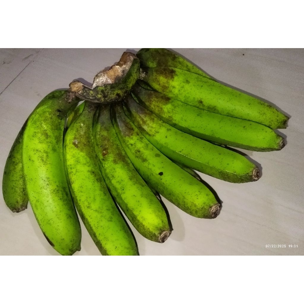 

Pisang Ambon Lumut 1 sisir