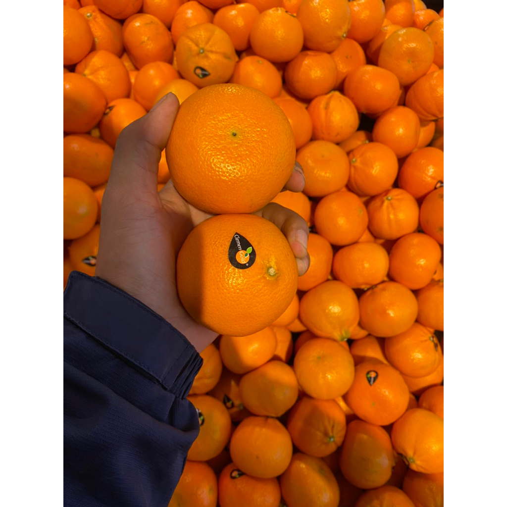 

Clement Gold Seedless Africa Jeruk Clemen Manis Segar Tampa Biji Fresh 1 Kg Jeruk Segar Tanpa Biji 1 Kilogram