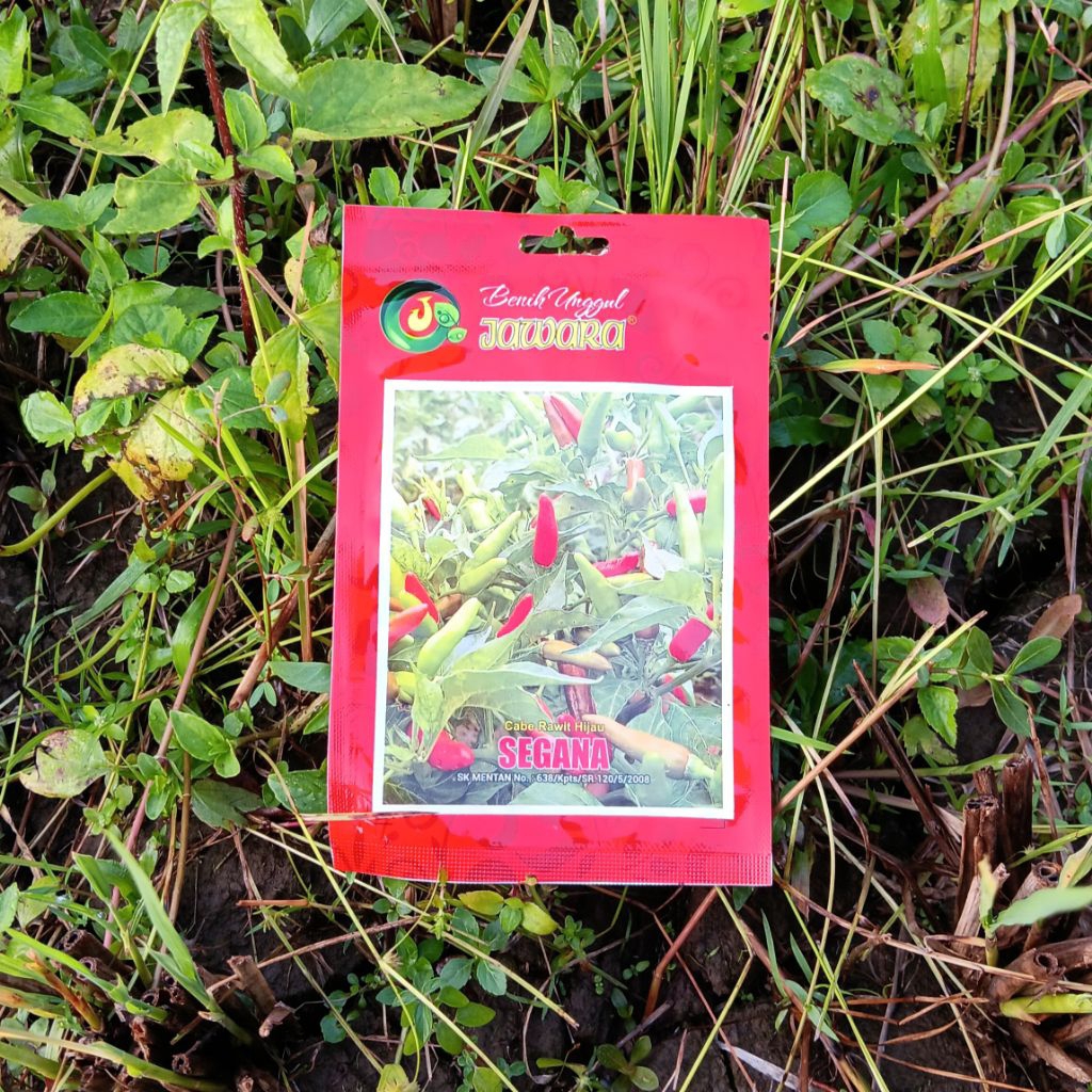 Bibit Cabe Rawit Hijau SEGANA Jawara 5 Gram