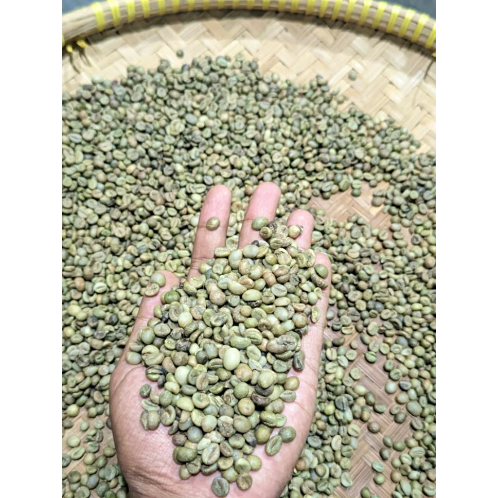 

Kopi Robusta Greenbean 1kg Asli purbalingga -Langsung Dari Petani