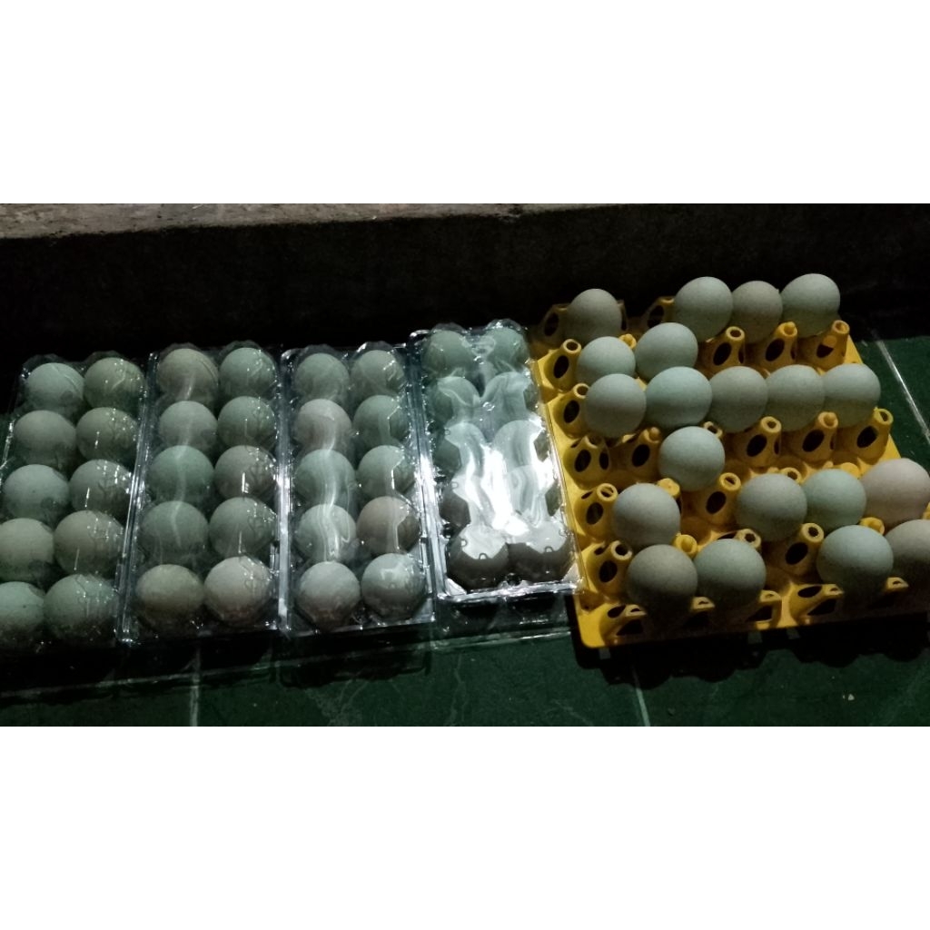 

TELUR BEBEK MENTAH TAWAR KANDANG