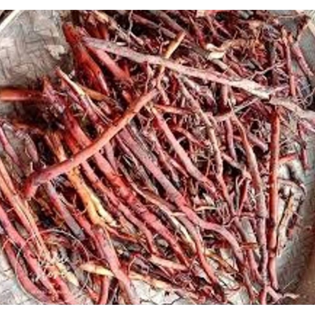 

akar kelapa segar harga 300g