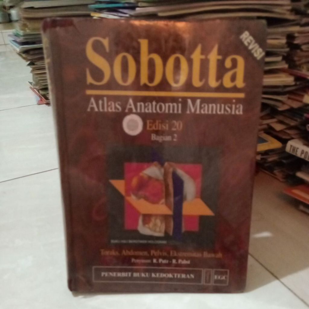 SOBOTTA ATLAS EKONOMI MANUSIA EDISI 20 BAGIAN 2
