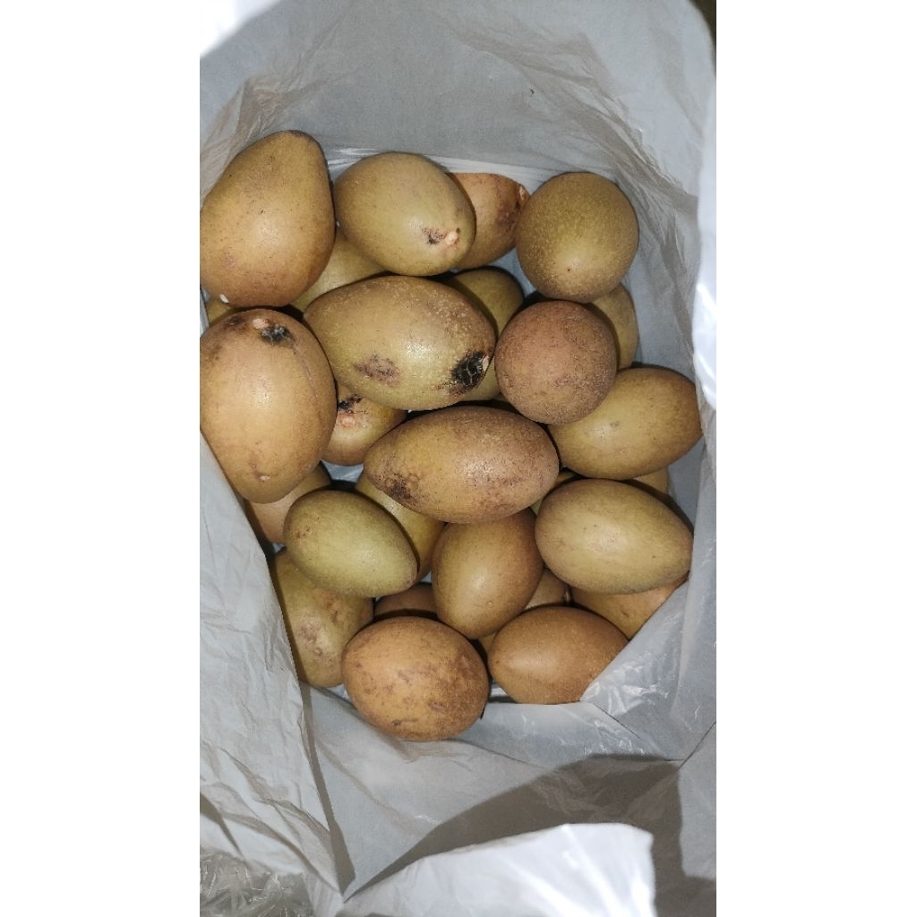 

1 KG Buah Sawo Manis Tunggilis