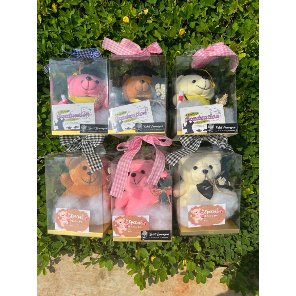 Gift Box Kotak Mika Boneka Wisuda & Buket Bunga Mini Spesial Wisuda / Ulang Tahun / Kado buat Pacar 
