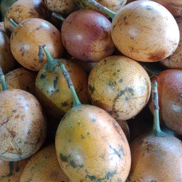 

BUAH MARKISA MEDAN 1 KG