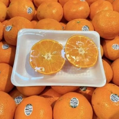 

Buah jeruk Murcot Empress fresh manis segar 1 kg