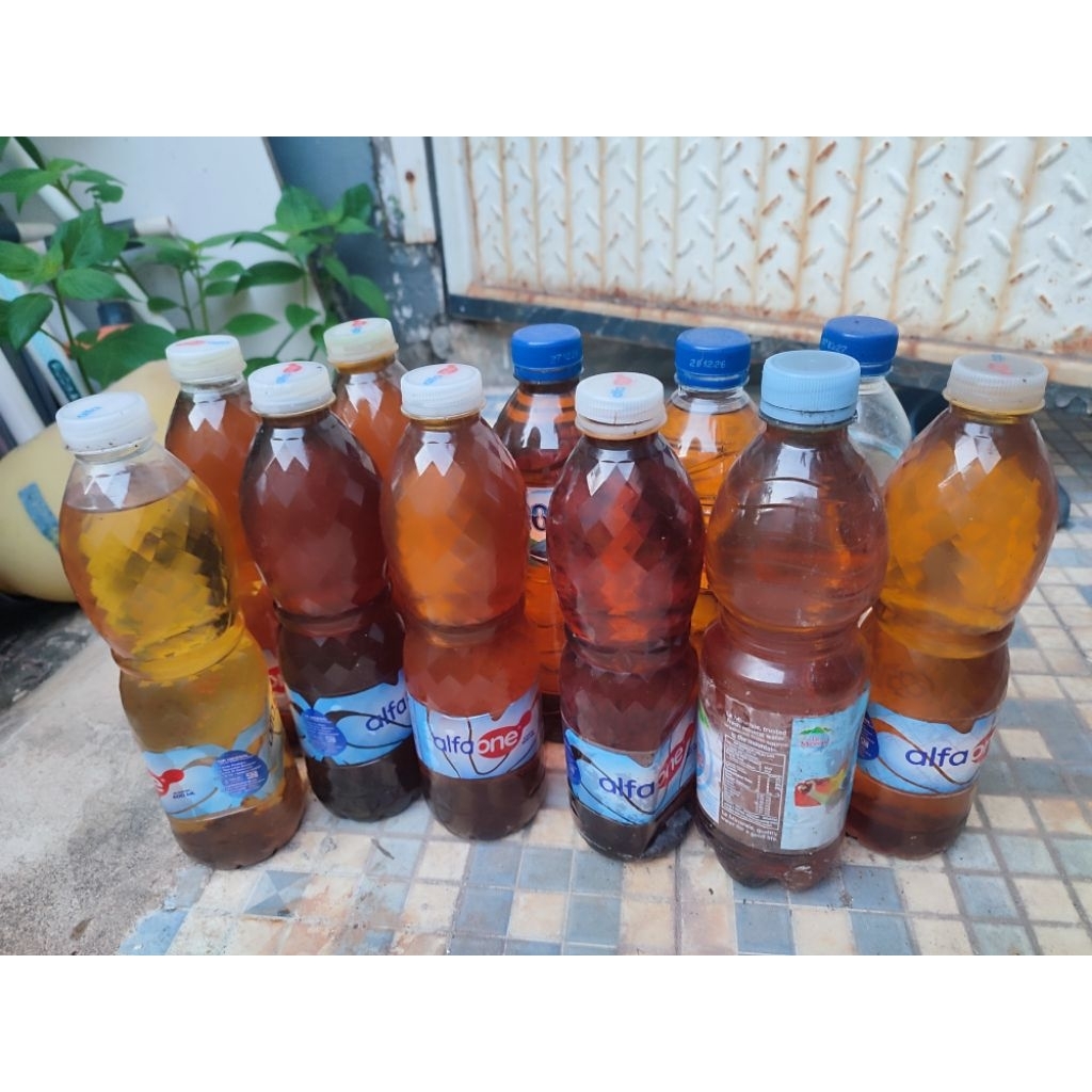 

Minyak Jelantah Kualitas Terbaik