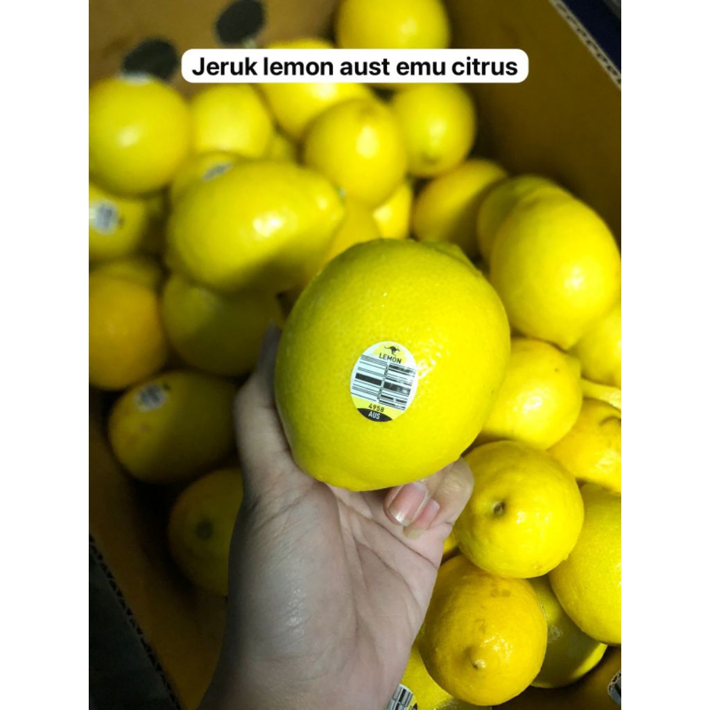 

Jeruk Lemon Australia Emu Citrus /kg